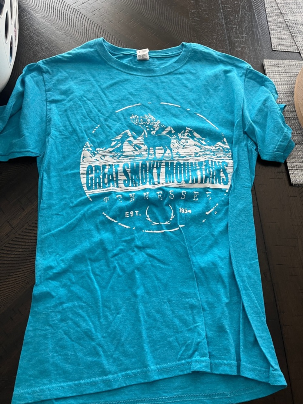Turquoise Great Smoky Mountains Graphic Tee - Unbranded
